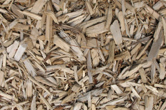 biomass boilers Peinlich